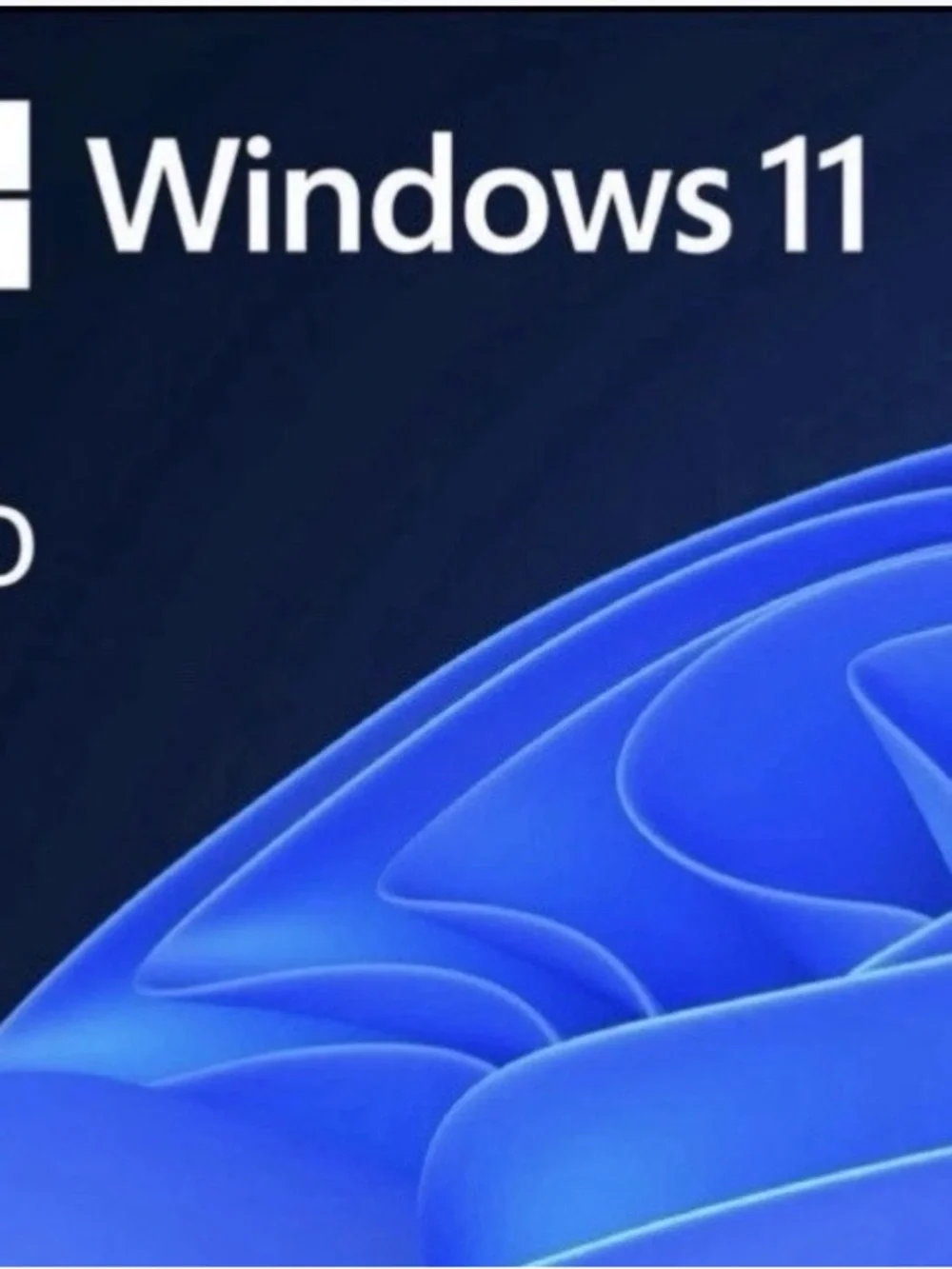 Brand NEW Microsoft Windows 11 Pro USB Retail Version (NOT A download)